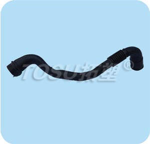Snorkel