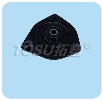 Strut Mount